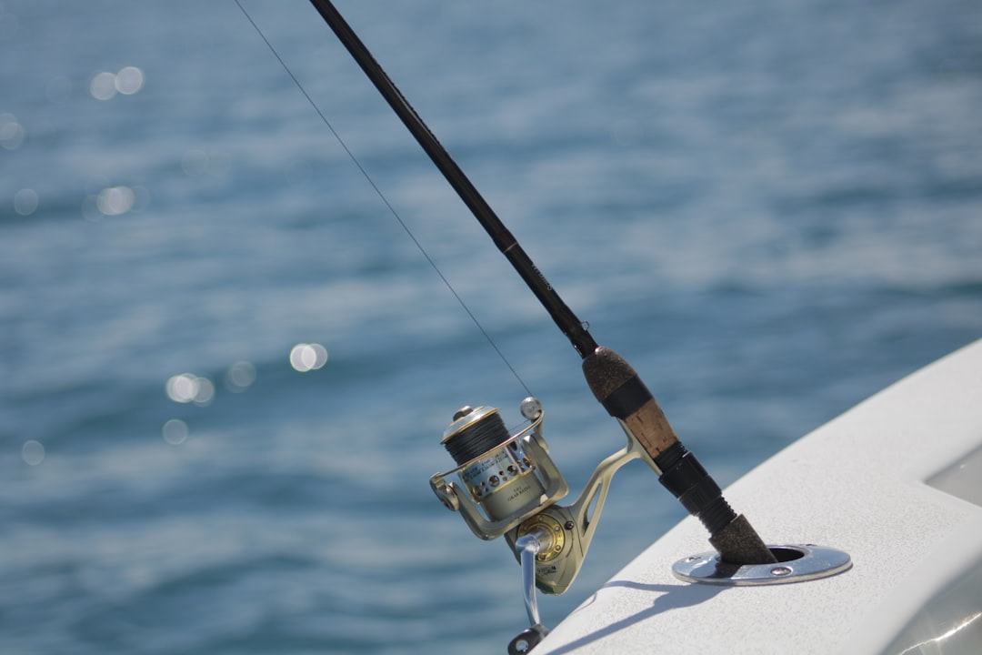Maximize Your Fishing Success with These Top-Rated Accessories